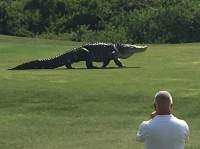  Fermo immagine dal video girato da Charles Helms