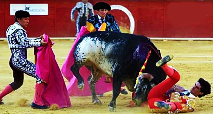corrida-segovia