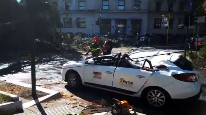 crollo-albero-taxi-roma