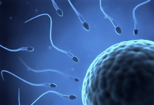 infertilità-maschile