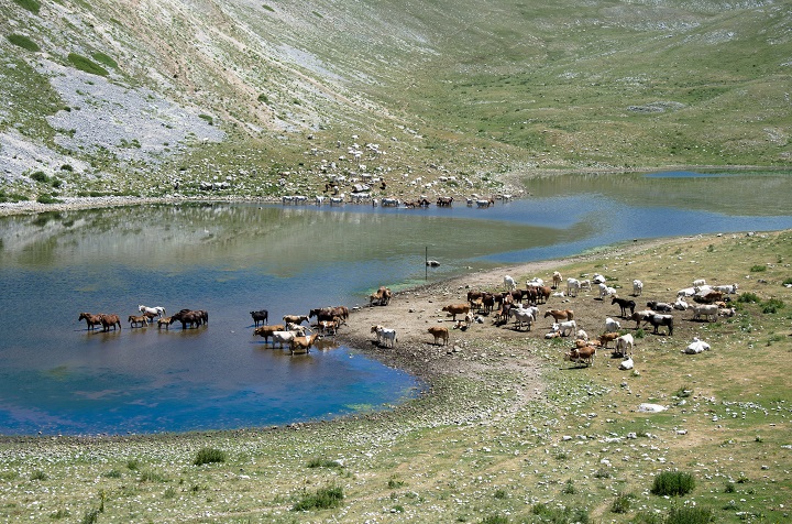 Vittima di intimidazioni il pastore che difende il lago del ...