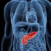 Pancreas artificiale per diabete di tipo 2: l’approccio simbolico