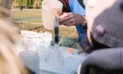 “Una domenica per tutti” al BAM – Biblioteca degli Alberi di Milano  di Milano