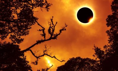 Eclissi totale di Sole in diretta: come seguirla dall’Italia su RaiNews24