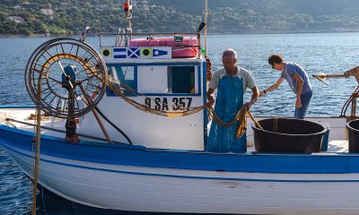 Pollica e le terre della Dieta Mediterranea