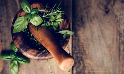 La scienza del pesto: come evitare l’ossidazione del basilico