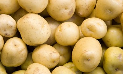 Come gestire l’indice glicemico delle patate e migliorare la salute metabolica