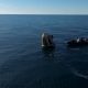 Suni Williams and Butch Wilmore return to Earth: the shuttle docked in the Gulf of Mexico