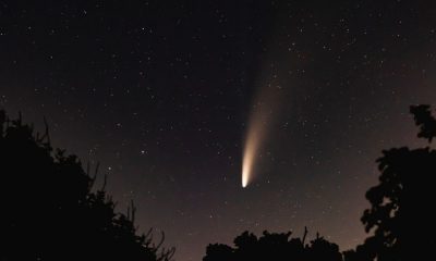 Cometa Swan visibile a occhio nudo dal 1° maggio: il picco di luminosità al perielio