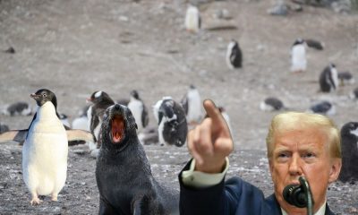 Trump’s ignorance taxes even penguins