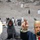 Trump’s ignorance taxes even penguins