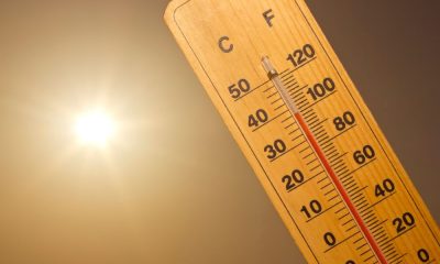 Caldo e incendi, ancora bollino rosso a Palermo: 17 città in preallerta