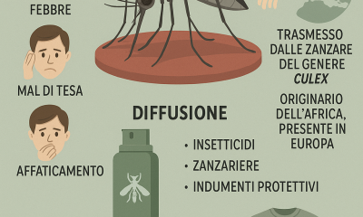 West Nile, primi casi autoctoni nel Lazio: due settantenni colpiti a Latina