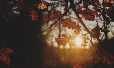 Meteo dicembre Italia: anticiclone africano e clima anomalo